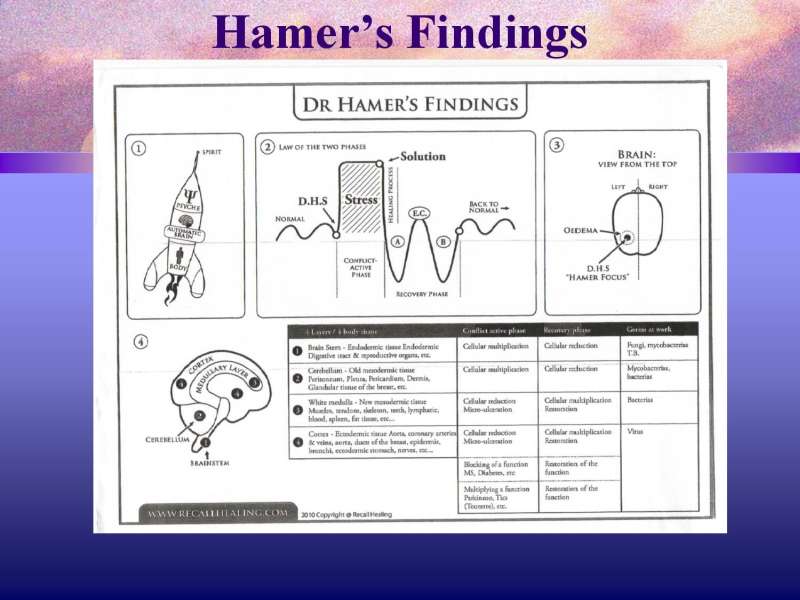 Emotional roots in Brain Cancers page 7